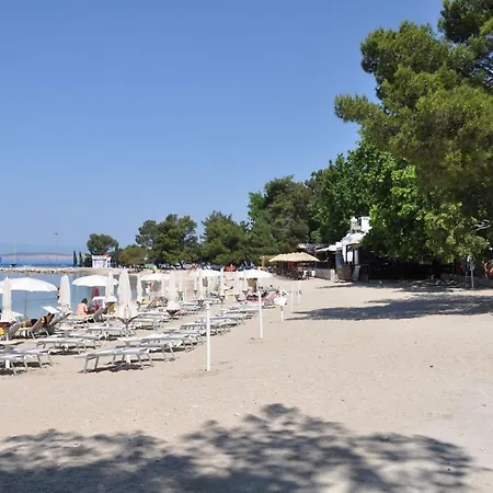 In Croatia Near The Sea *