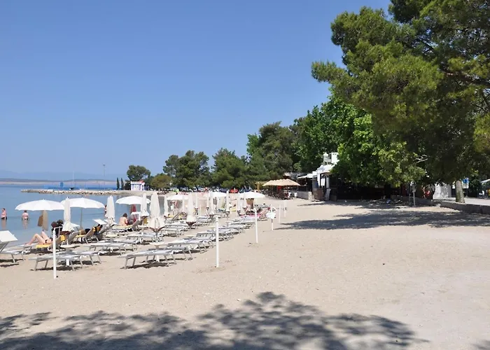 In Croatia Near The Sea *